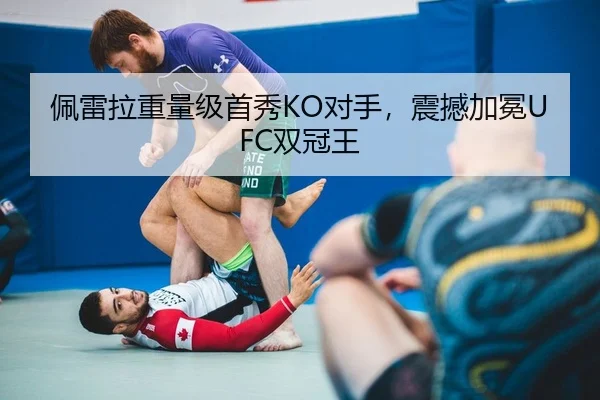 佩雷拉重量级首秀KO对手，震撼加冕UFC双冠王
